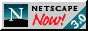 Netscape Now! Icon